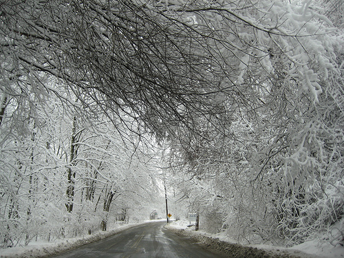 More snow on the way to work
