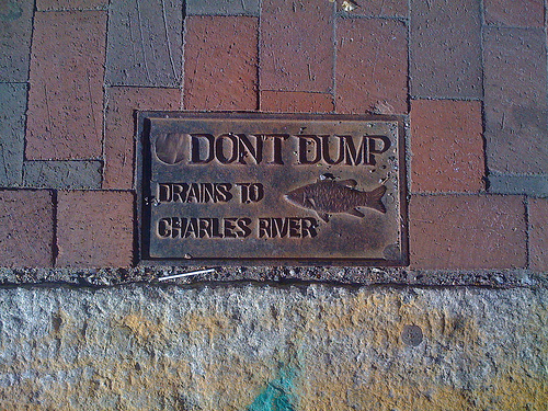 Don't Dump!