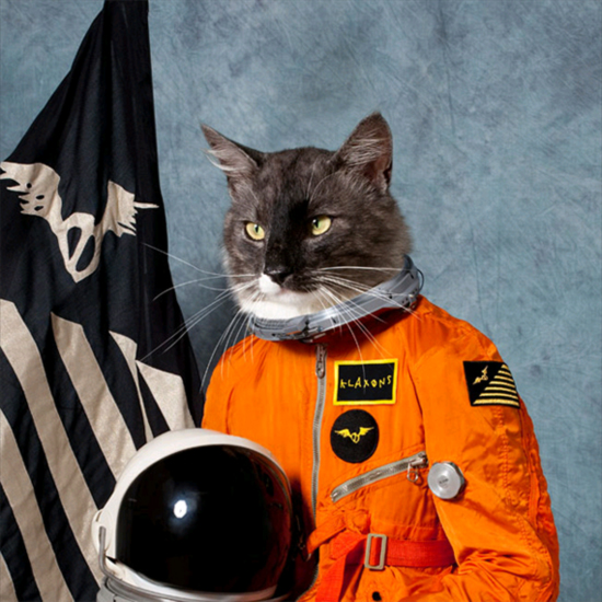 klaxons-cat-astronaut-album.jpeg